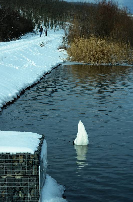 Jezero Most v sobotu odpoledne 13. února 2021.