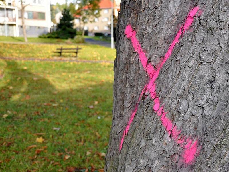 Stromy v parku na Zahražanech. Označené křížkem půjdou k zemi.