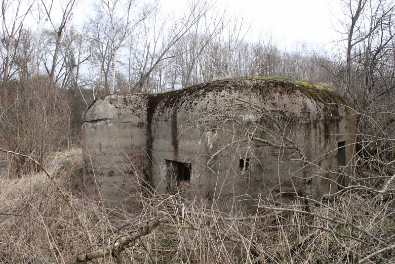 Lehké opevnění vz. 37 - 14 A - 160 Z u silnice Mariánské Radčice - Braňany