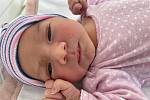 Karla Lanková se narodila 1. ledna ve 3.01 hodin mamince Michaele Čížové z Mostu. Měřila 50 cm a vážila 3,60 kilogramu.