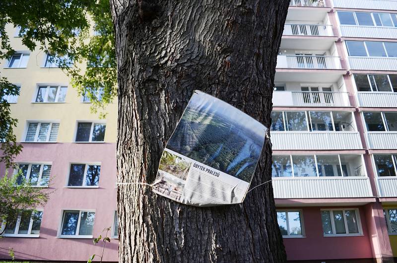  V parku v ulici Jana Kubelíka v Mostě skončila Výstava na stromech