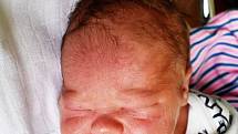 Mikuláš Hloch se narodil mamince Gabriele Evě Hlochové z Teplic 24. dubna v 8.34 hodin. Měřil 47 centimetrů a vážil 3,05 kilogramu.