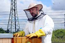 Při druhém medobraní v Elektrárně Počerady se stáčel med z akátu.