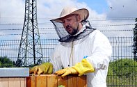 Při druhém medobraní v Elektrárně Počerady se stáčel med z akátu.