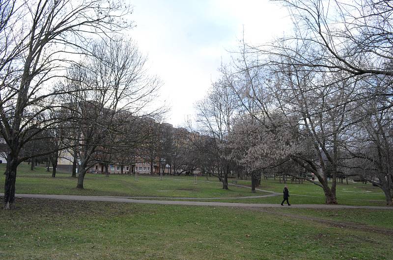 Mostecký park mezi knihovnou a stadionem hlídá kamera.