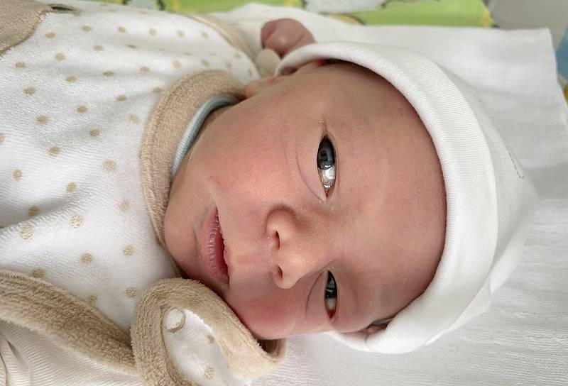 Pavel Nájemník se narodil 2. října ve 23.57 hodin mamince Žanetě Nájemníkové z Bíliny. Měřil 52 cm a vážil 3,46 kg.