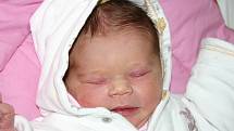Mamince Lucii Konheiserové ze Skršína se 21. října ve 20.45 hodin narodila dcera Nikola Erlichová. Měřila 53 centimetrů a vážila 3,10 kilogramu.