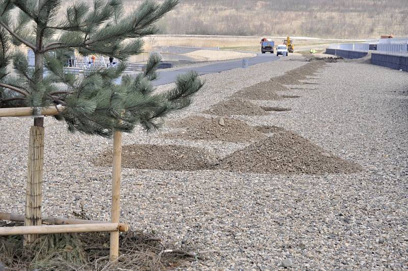 Příroda u jezera Most se po oteplení probouzí, ožívá i stavební ruch