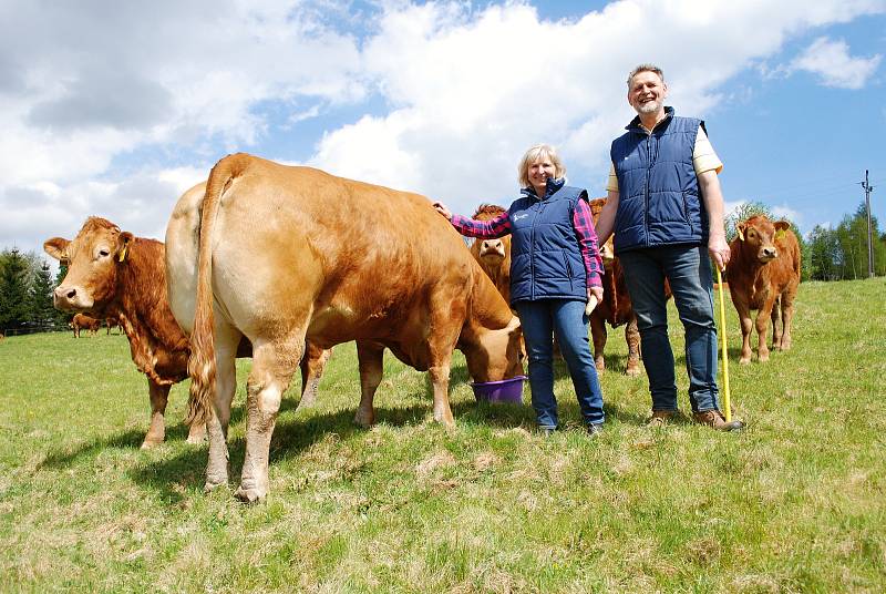 Nejlepší ekofarmou roku 2022 je Farma Kateřina v Krušných horách na Mostecku, která se zaměřuje na chov plemenného dobytka. Rodinný podnik založili v roce 1995 manželé Adolf a Kateřina Loosovi z Hory Svaté Kateřiny (na snímku).