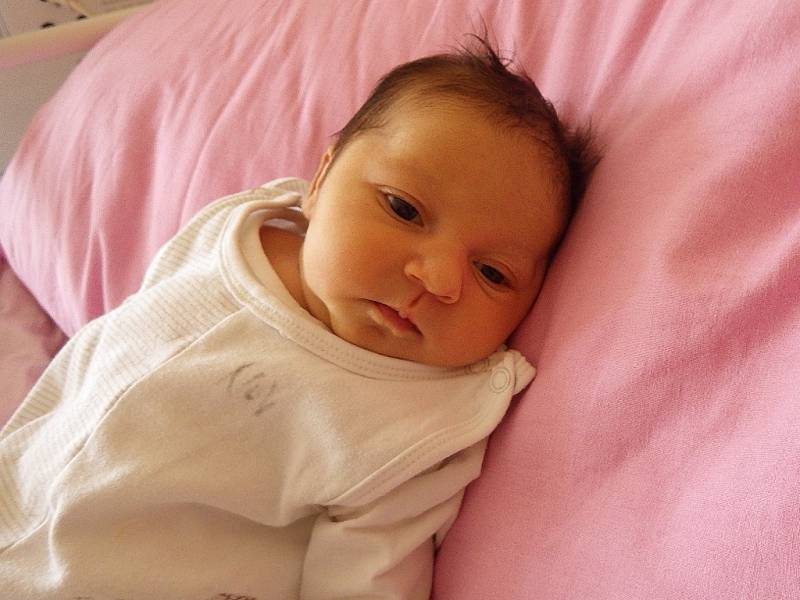 Marie Tatárová se narodila 11. února 2018 v 10.13 hodin mamince Marii Tatárové z Janova. Měřila 51 cm a vážila 3,93 kilogramu.