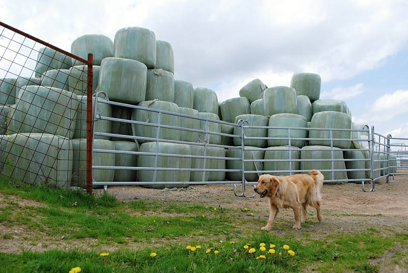 Nejlepší ekofarmou roku 2022 je Farma Kateřina v Krušných horách na Mostecku, která se zaměřuje na chov plemenného dobytka. Rodinný podnik založili v roce 1995 manželé Adolf a Kateřina Loosovi z Hory Svaté Kateřiny.