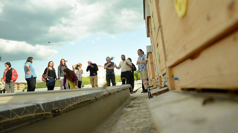 Chov včel na střeše mostecké městské knihovny