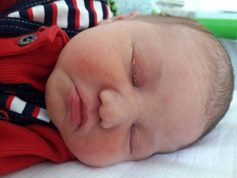 Michal Hotový se narodil 11. dubna 2018 v 11.20 hodin mamince Andree Hlaváčové z Mostu. Měřil 51 cm a vážil 4,02 kilogramu.
