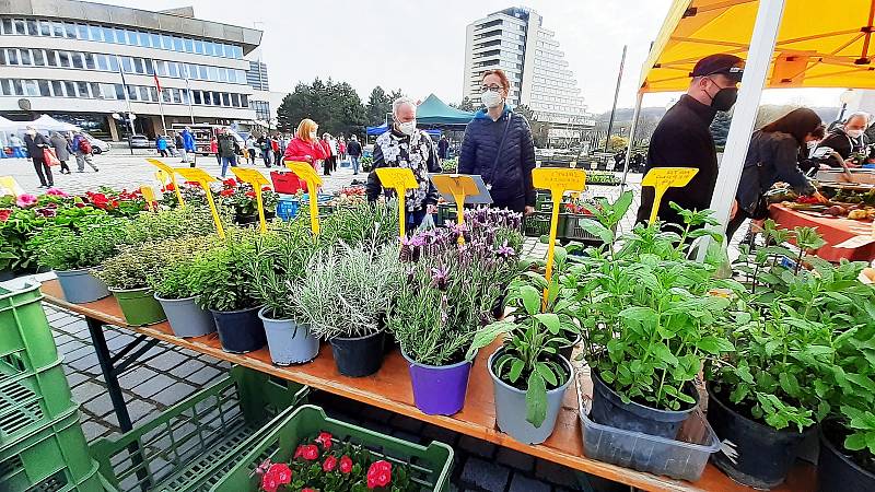 Farmářský trh na 1. náměstí v Mostě v sobotu 24. dubna.