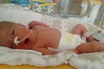 Karolínka Drahozalová se narodila 14. října ve 23.25 hodin rodičům Kateřině Drahozalové a Patriku Meisnerovi ze Žatce. Měřila 41 cm a vážila 1,55 kg.
