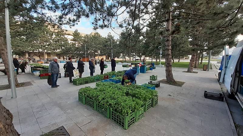 V sobotu 7. května byl v Radničním parku v Mostě tradiční trh.