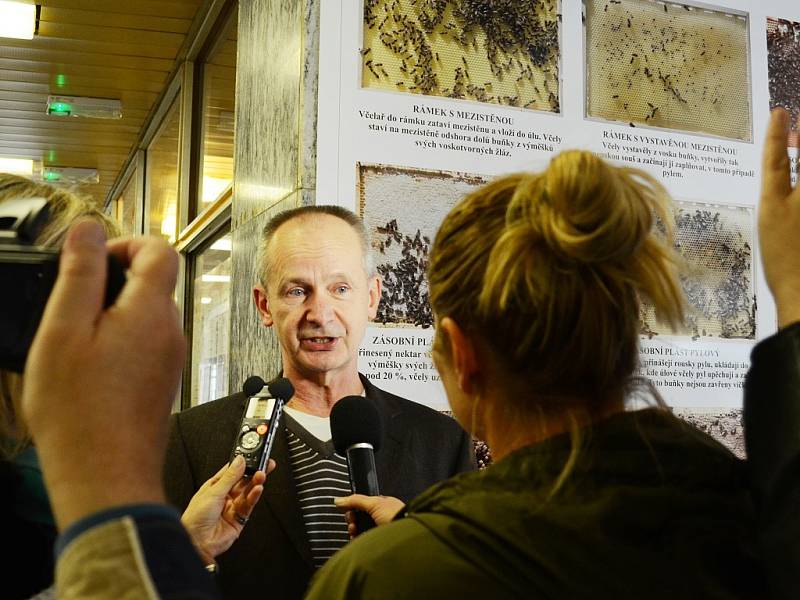 V mostecké knihovně otevřeli Naučnou včelí stezku