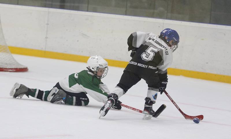 Huskies Cup ozdobila účast Sparty