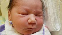 Mamince Andree Sivákové z Krupky se 12. února v 6.53 hod. v teplické porodnici narodila dcera Marie Holubová. Měřila 47 cm a vážila 2,95 kg.