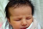 Mamince Tereze Kotyzové z Teplic se 9. února v 16.50 hod. v teplické porodnici narodila dcera Ema Francová. Měřila 49 cm a vážila 3,0 kg.