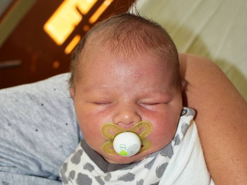 Adam Šnajdr se narodil Martině Vojíkové z Teplic 3. září  v 19,23 hodin v teplické porodnici. Měřil 54 cm, vážil 4,25 kg.
