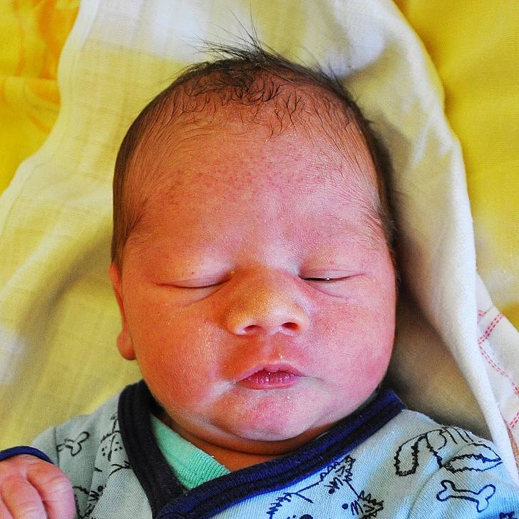 René Drapák se narodil Tereze Závišové z Bíliny 16. října v 9.28 hod. v teplické porodnici. Měřil 51 cm a vážil 3,15 kg.