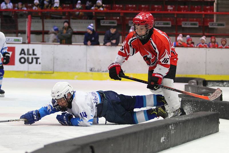 HC Teplice Huskies na turnaji v Maďarsku