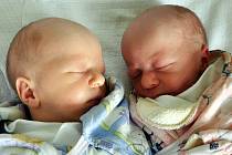 Michal a Petr Maloškovi se narodili Nikole Maloškové  z Teplic  22. srpna  v 10. 39 a 10.40 hod. v teplické porodnici. Měřili 47 a 46 cm a vážili 2,75 a 2,43 kg.