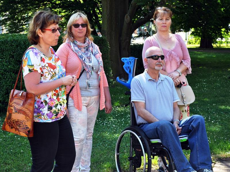 Sázení slunečnic pro pacienty s roztroušenou sklerózou v Teplicích