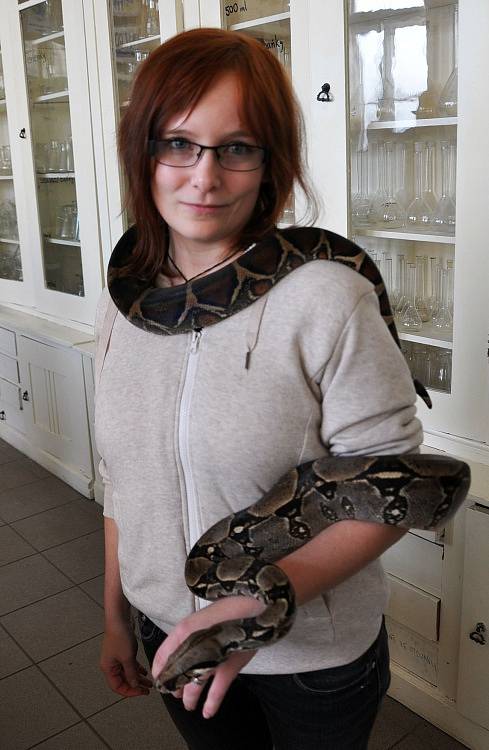 Gymnázium Teplice otevřelo dveře 