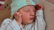 Julie Červenková se narodila Martině Červenkové z Teplic 15. května v teplické porodnici v 8,28 hodin. Měřila 51 cm, vážila 3,3 kg.
