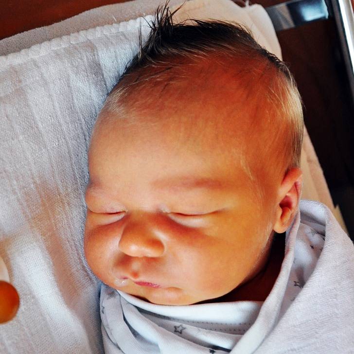Filip Ehrenberger se narodil Nikole Vildnerové  z Teplic  19. listopadu  ve 13.22  hod. v teplické porodnici. Měřil 53 cm a vážil 3,9 kg.