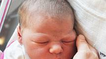 Barbora Vrbová se narodila Barboře Bolfíkové z Duchcova 16. října v teplické porodnici v 20,28 hodin. Měřila 51 cm, vážila 3,75 kg.