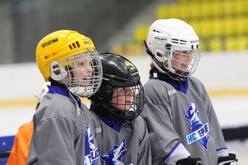 Přátelské utkání přípravek HC Teplice Huskies - Mostečtí Lvi