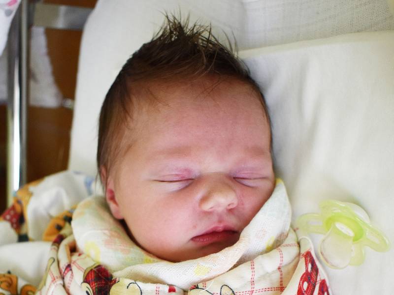 Amelie Fölklová se narodila Barboře Čejkové z Teplic 5. září  v 20,51 v teplické porodnici. Měřila 49 cm, vážila 3,25 kg.