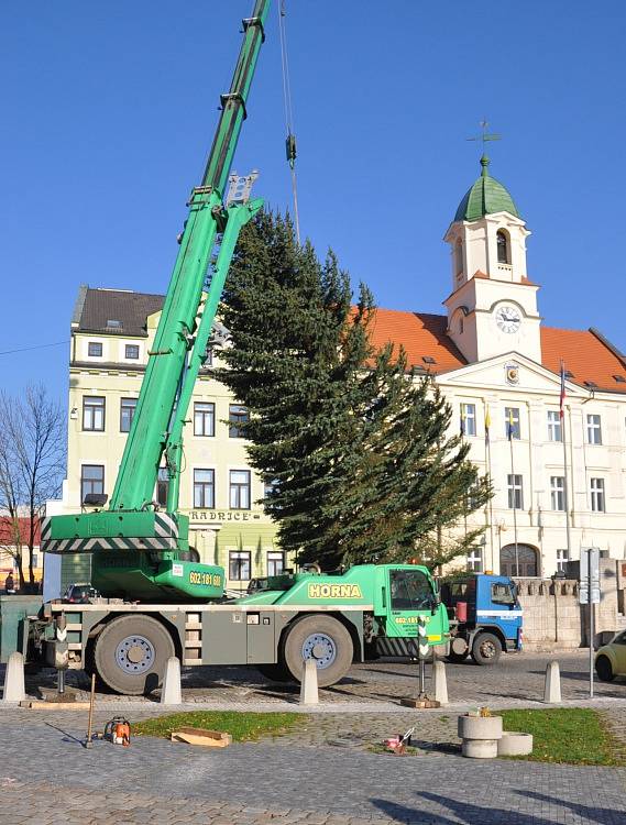 Vánoční smrk přivezli do Teplic z Černčic