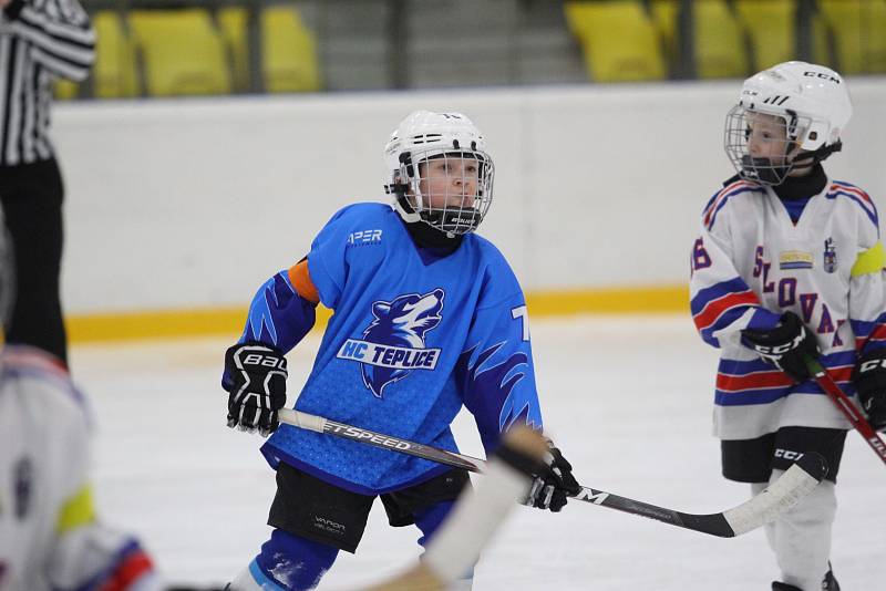 Huskies Cup v Teplicích