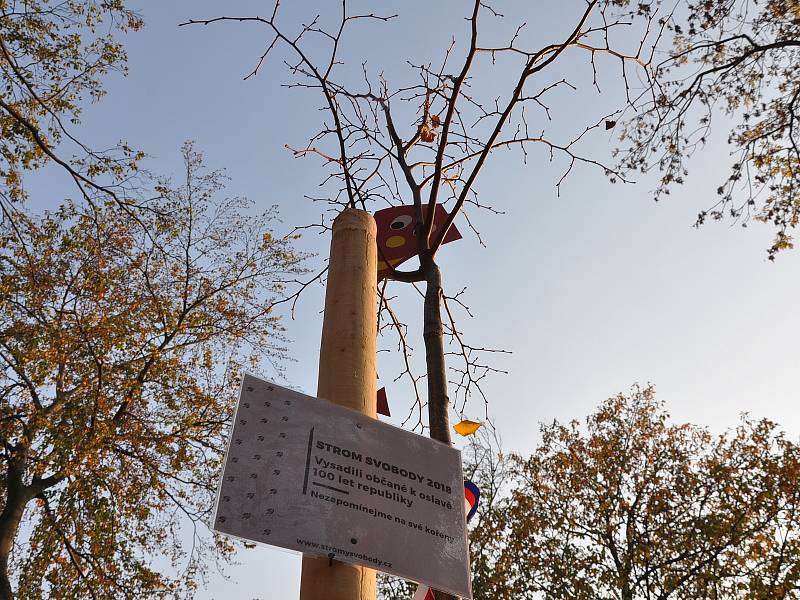 Sázení stromu svobody v MŠ na Kopečku v Teplicích.