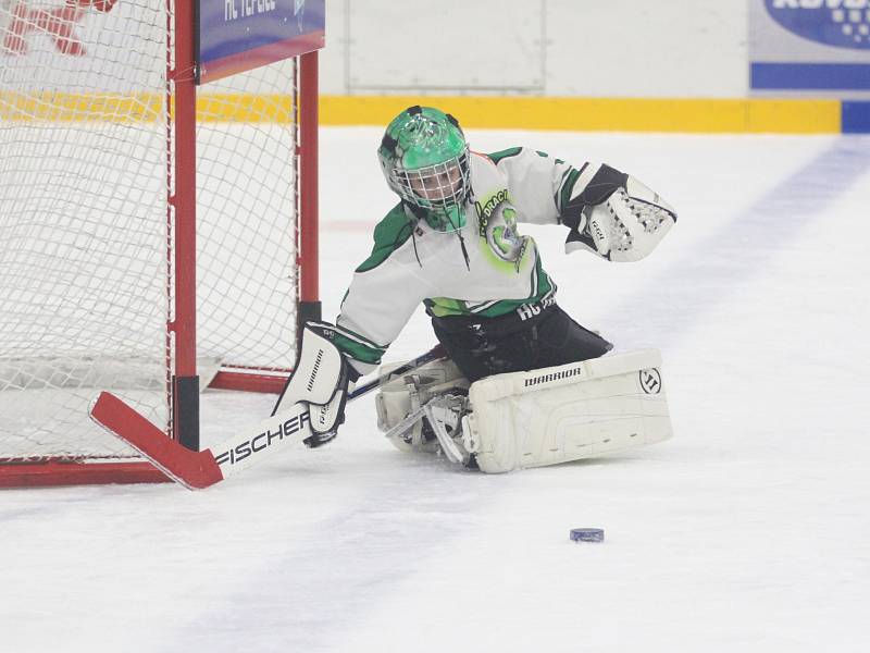 Huskies Cup ozdobila účast Sparty