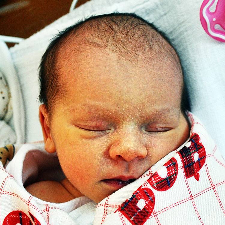 VIKTORIE OPELTOVÁ se narodila Daně Opeltové z Teplic 24. ledna v 16.46 hod. v teplické porodnici. Měřila 49 cm a vážila 2,80 kg.