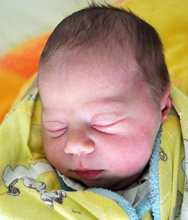 Mamince  Lence Prejzové z Teplic se 23. ledna ve 3.35  hod. v teplické porodnici narodila dcera Eliana Prejzová. Měřila  49 cm a vážila 3,35 kg.