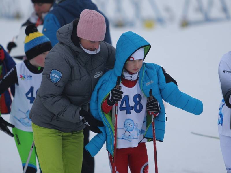 Zimní olympiáda dětí a mládeže na Cínovci