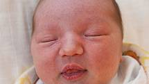 Mamince Zdeňce Milcové z Teplic se 13. června  ve 4.00 hod. v teplické porodnici narodila dcera Michaela Nosková. Měřila 50 cm a vážila 3,0 kg.