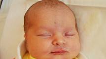 Valerie Lea Havlíková se narodila Alžbětě Divišové z Teplic  28.července v 11,36 hodin v teplické porodnici. Měřila 50, vážila 3,70 kg.