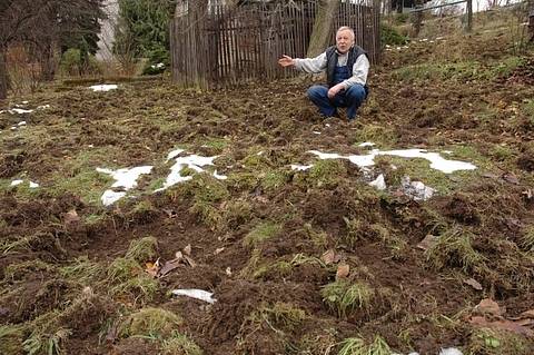 Viktor Pavel ukazuje na zdevastovanou zahradu