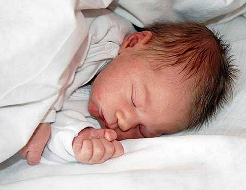 Mamince Haně Losové z Bíliny se 29. prosince v 8.30 hod. v teplické porodnici narodila dcera Daniela Jurčíková. Měřila 49 cm a vážila 3,20 kg.