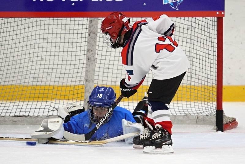 Huskies Cup pro ročníky 2014