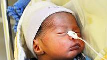 Damián Gorol se narodil Pavlíně Gorolové z Bíliny 12. března v teplické porodnici v 11,58 hodin. Měřil 43 cm, vážil 2,10 kg
