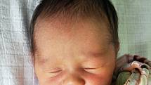DAVID RŮŽIČKA se narodil Denise Růžičkové z Bíliny 9. ledna ve 23.04 hod. v teplické porodnici. Měřil 50 cm a vážil 3,30 kg.