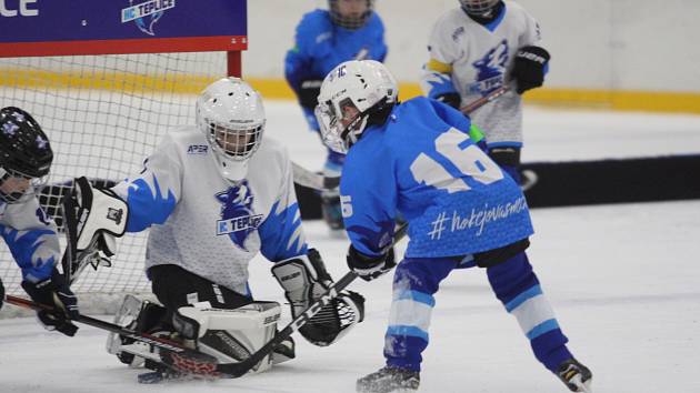 Huskies Cup v Teplicích